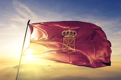 bandera-de-navarra